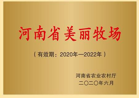 河南省美丽牧场
